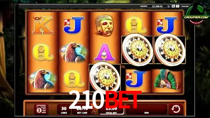 A Experiência Imersiva dos Cassinos Ao Vivo no 210bet
